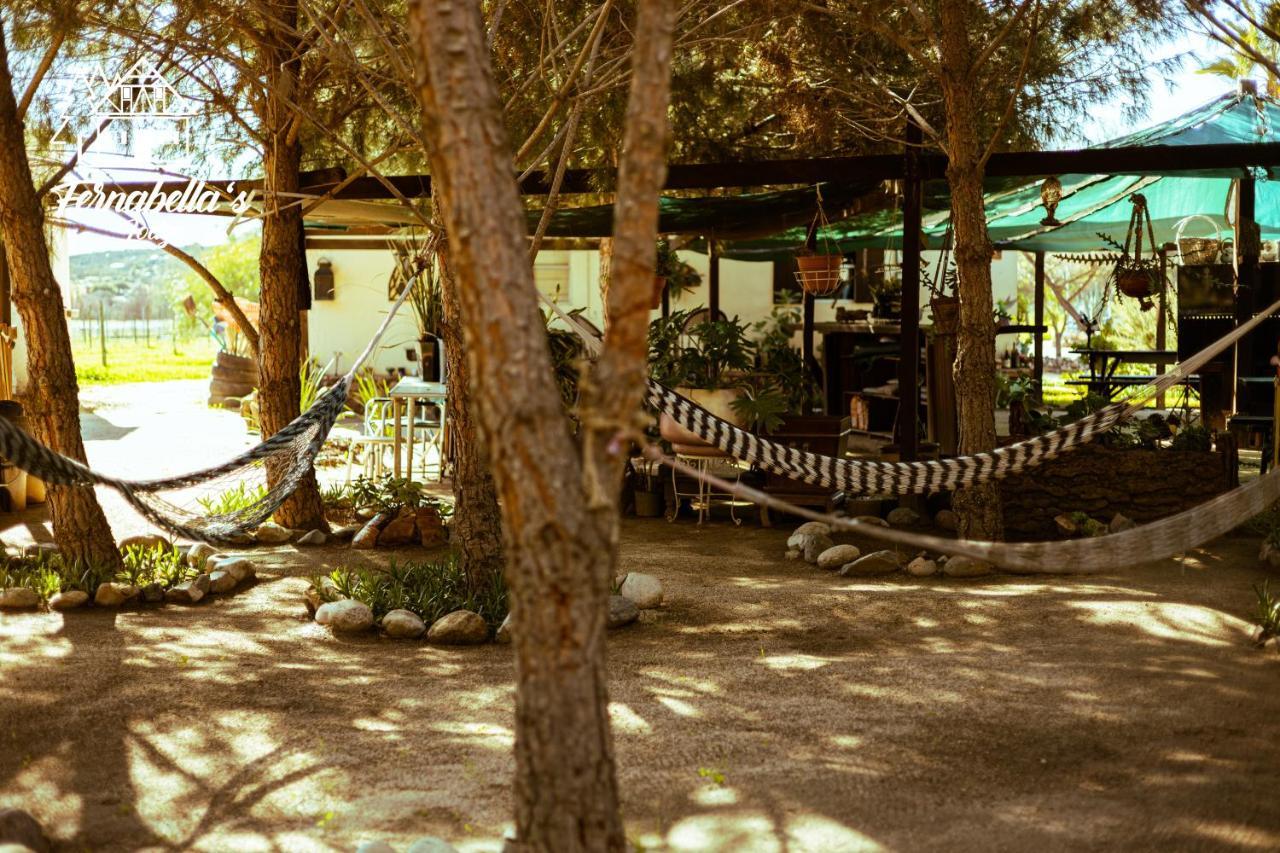 Fernabella'S Lodge Valle de Guadalupe Kültér fotó