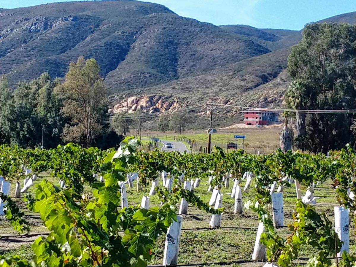 Fernabella'S Lodge Valle de Guadalupe Kültér fotó